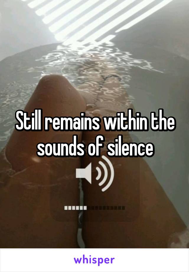 Still remains within the sounds of silence