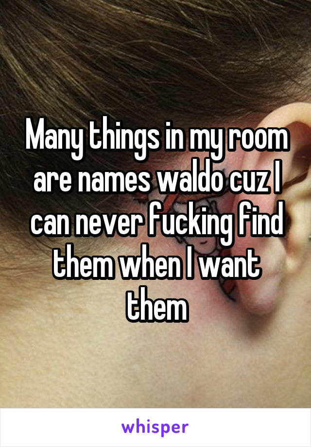 Many things in my room are names waldo cuz I can never fucking find them when I want them