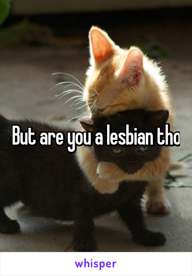 But are you a lesbian tho