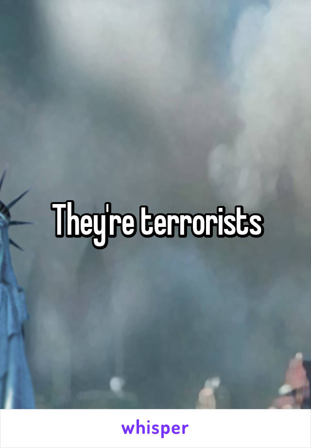 They're terrorists