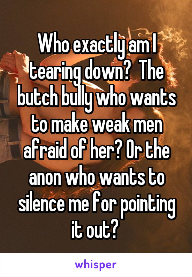 Who exactly am I tearing down?  The butch bully who wants to make weak men afraid of her? Or the anon who wants to silence me for pointing it out? 