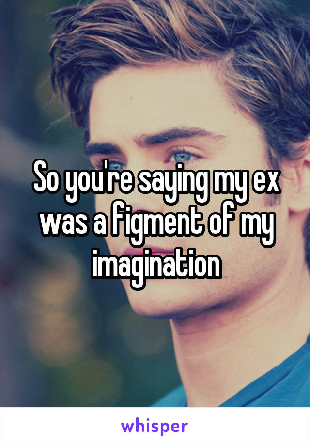 So you're saying my ex was a figment of my imagination