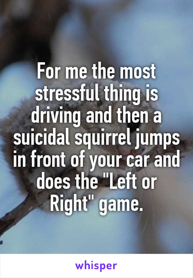 For me the most stressful thing is driving and then a suicidal squirrel jumps in front of your car and does the "Left or Right" game.