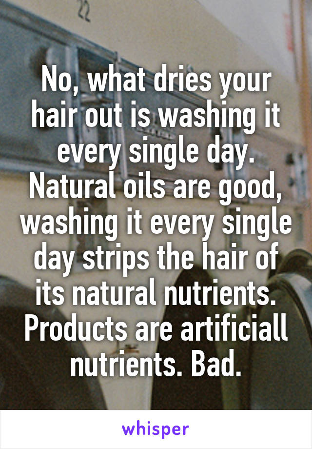 No, what dries your hair out is washing it every single day. Natural oils are good, washing it every single day strips the hair of its natural nutrients. Products are artificiall nutrients. Bad.