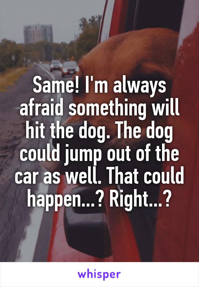 Same! I'm always afraid something will hit the dog. The dog could jump out of the car as well. That could happen...? Right...?