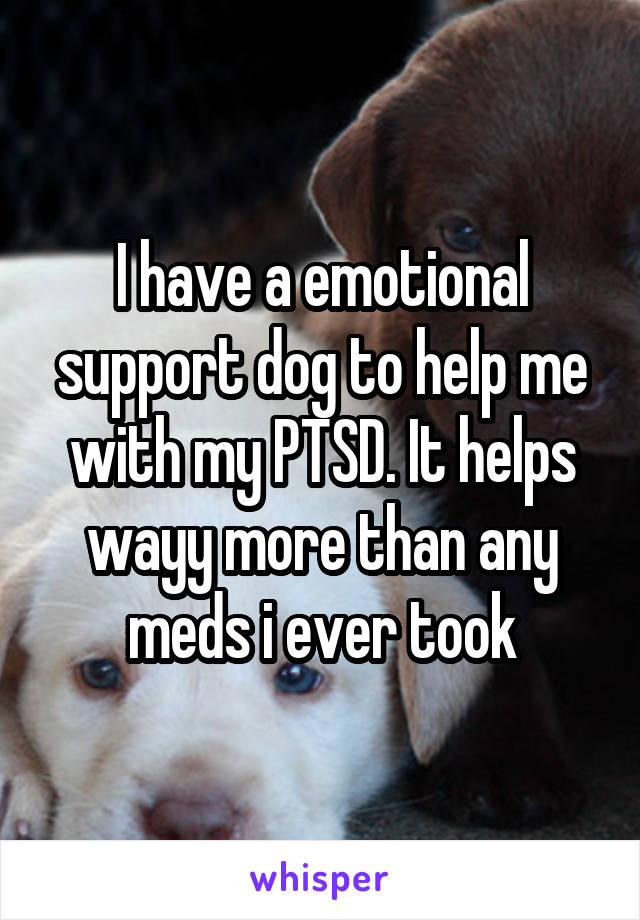 I have a emotional support dog to help me with my PTSD. It helps wayy more than any meds i ever took