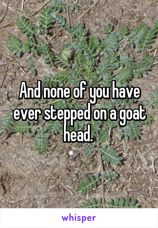 And none of you have ever stepped on a goat head. 