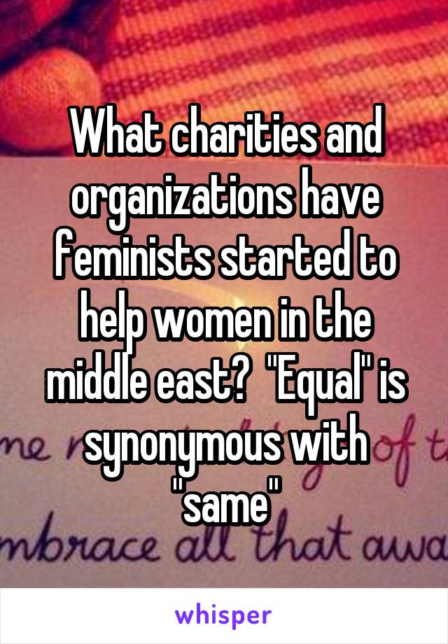 What charities and organizations have feminists started to help women in the middle east?  "Equal" is synonymous with "same"