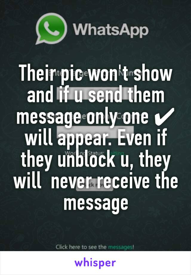 Their pic won't show and if u send them message only one ✔ will appear. Even if they unblock u, they will  never receive the message