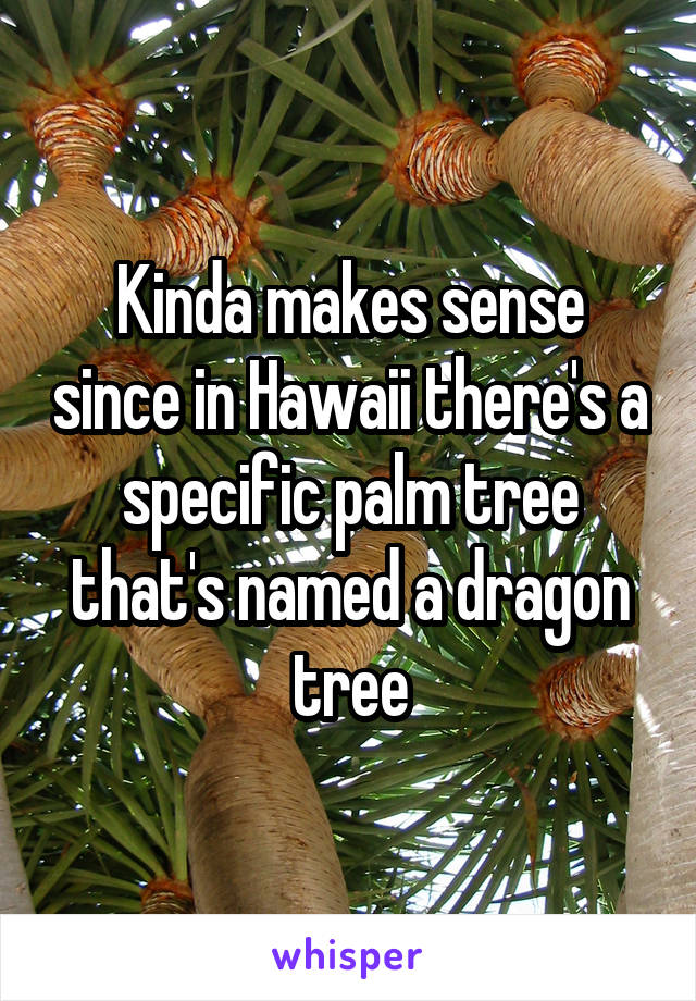 Kinda makes sense since in Hawaii there's a specific palm tree that's named a dragon tree