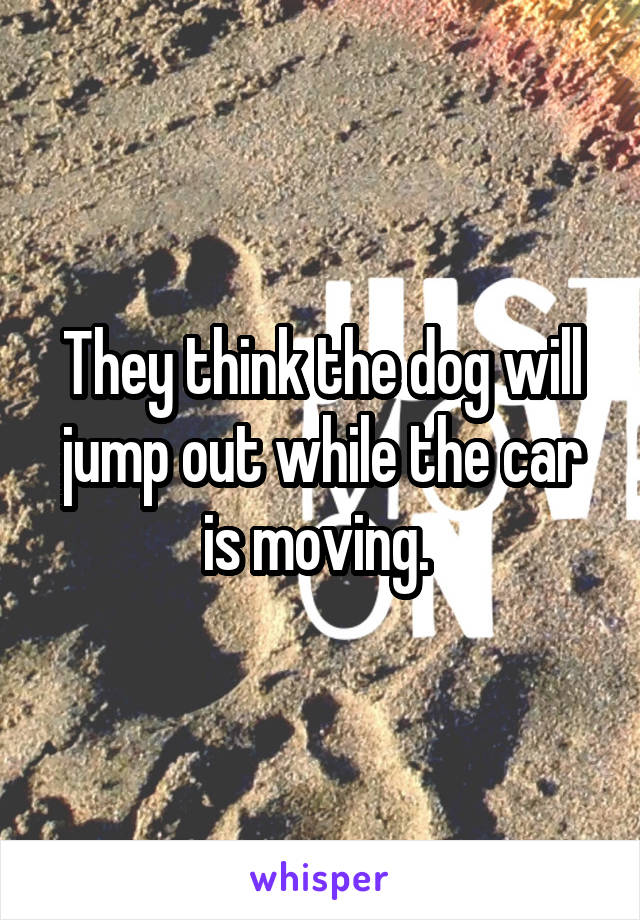 They think the dog will jump out while the car is moving. 