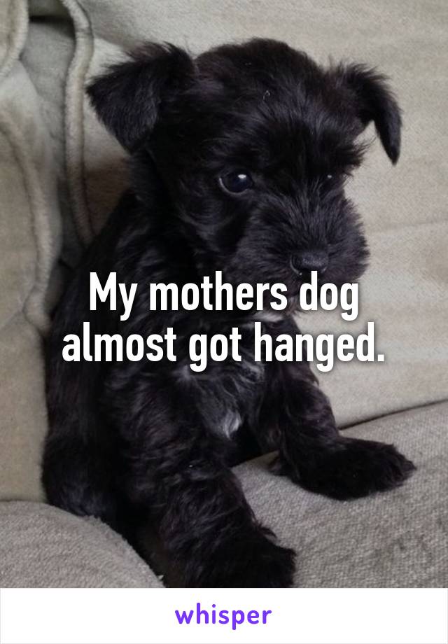 My mothers dog almost got hanged.