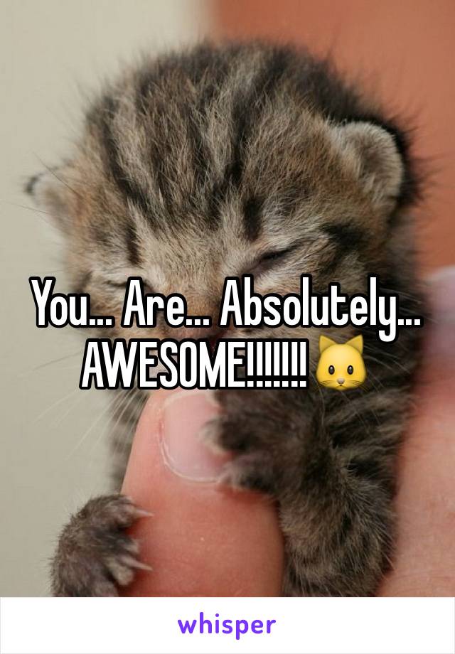 You... Are... Absolutely... AWESOME!!!!!!!🐱