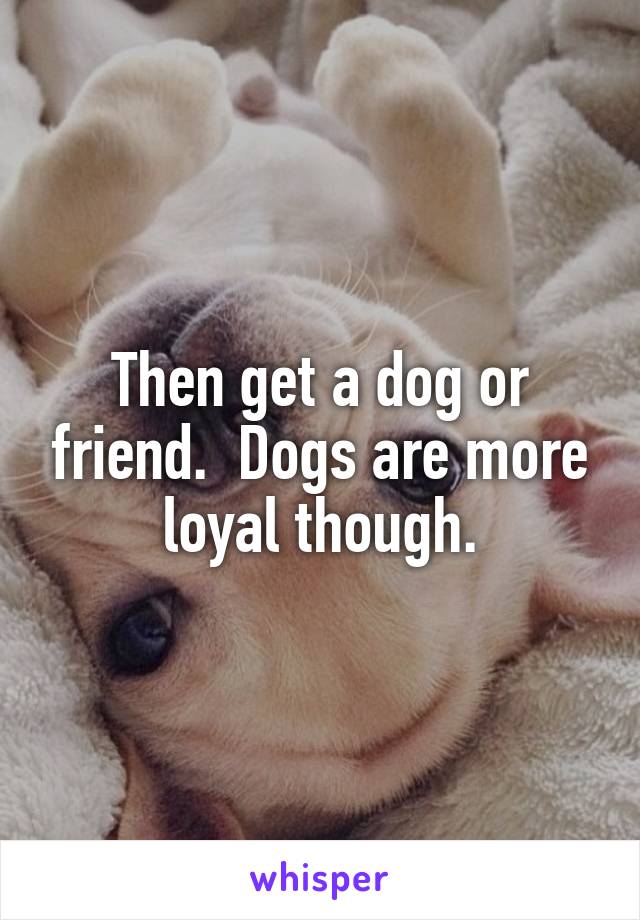 Then get a dog or friend.  Dogs are more loyal though.