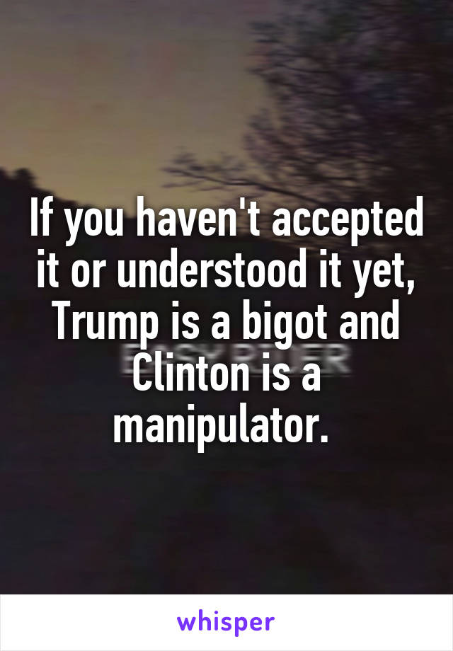 If you haven't accepted it or understood it yet, Trump is a bigot and Clinton is a manipulator. 
