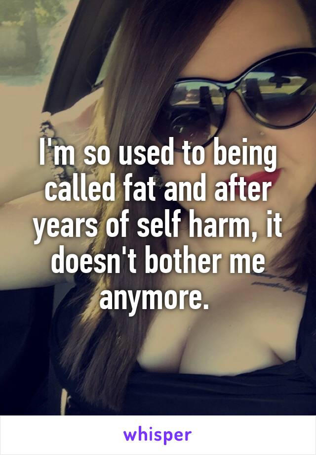 I'm so used to being called fat and after years of self harm, it doesn't bother me anymore. 