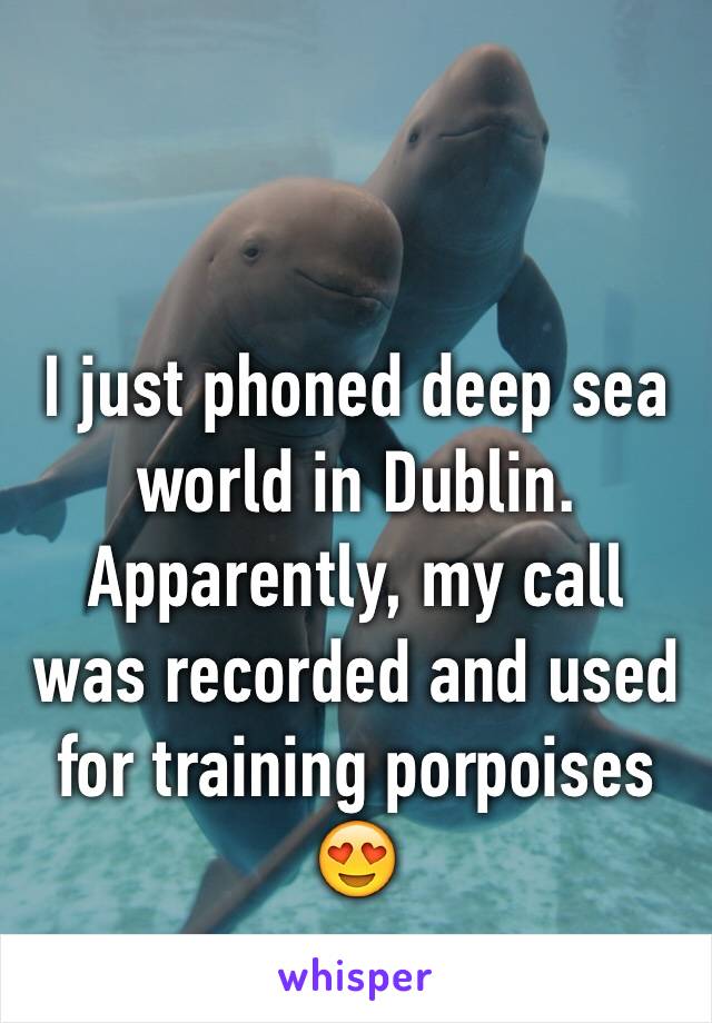 

I just phoned deep sea world in Dublin. Apparently, my call was recorded and used for training porpoises 😍