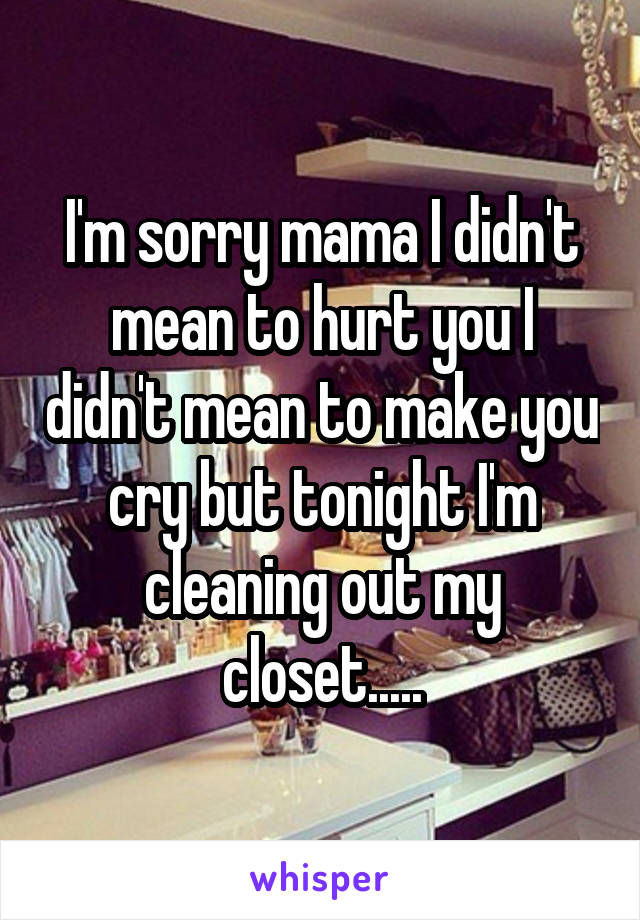 I'm sorry mama I didn't mean to hurt you I didn't mean to make you cry but tonight I'm cleaning out my closet.....