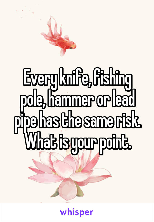 Every knife, fishing pole, hammer or lead pipe has the same risk. What is your point.