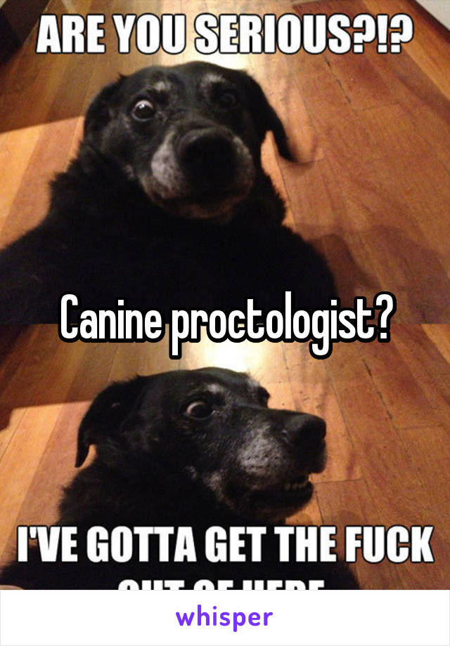 Canine proctologist?