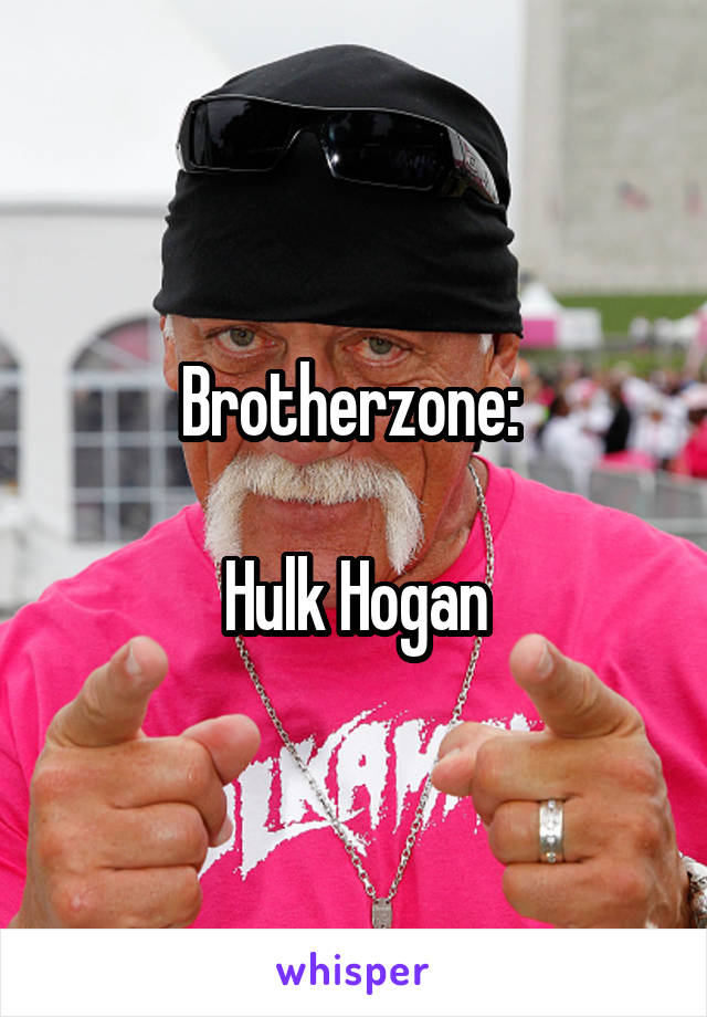 Brotherzone: 

Hulk Hogan