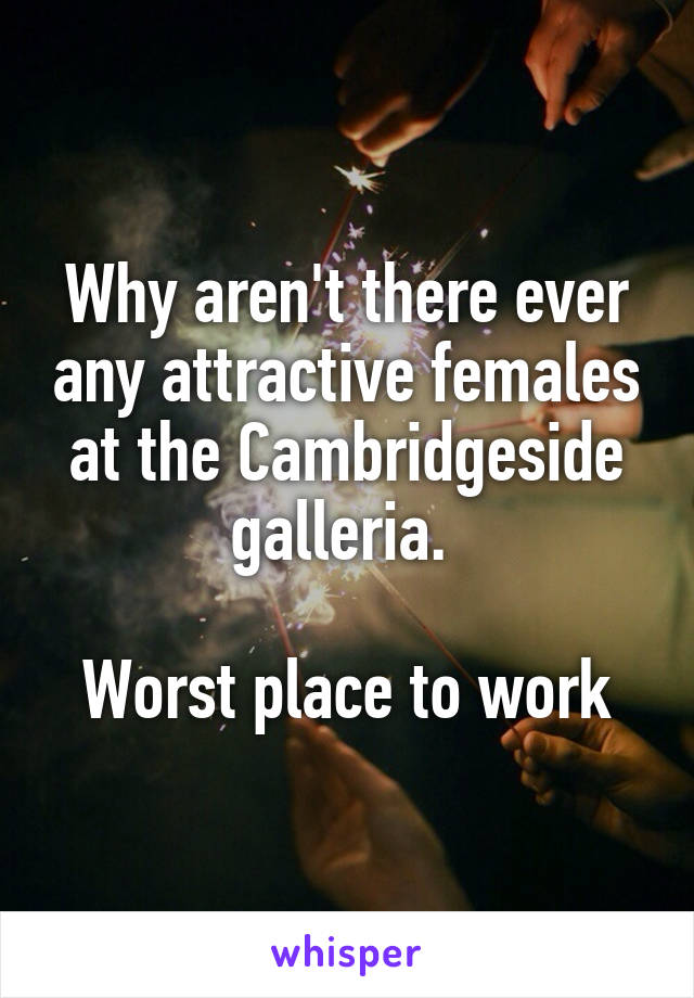 Why aren't there ever any attractive females at the Cambridgeside galleria. 

Worst place to work