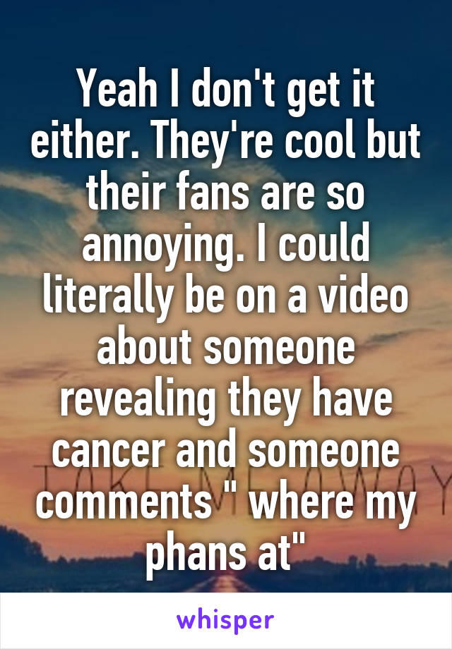 Yeah I don't get it either. They're cool but their fans are so annoying. I could literally be on a video about someone revealing they have cancer and someone comments " where my phans at"