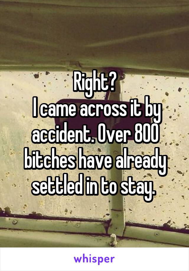 Right?
 I came across it by accident. Over 800 bitches have already settled in to stay. 