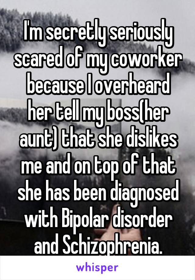 I'm secretly seriously scared of my coworker because I overheard her tell my boss(her aunt) that she dislikes me and on top of that she has been diagnosed with Bipolar disorder and Schizophrenia.
