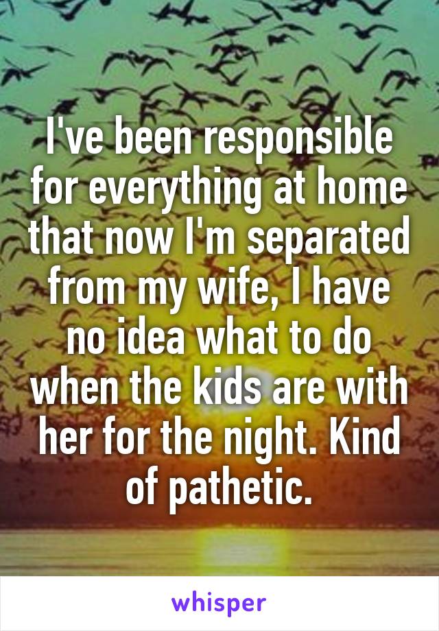 I've been responsible for everything at home that now I'm separated from my wife, I have no idea what to do when the kids are with her for the night. Kind of pathetic.
