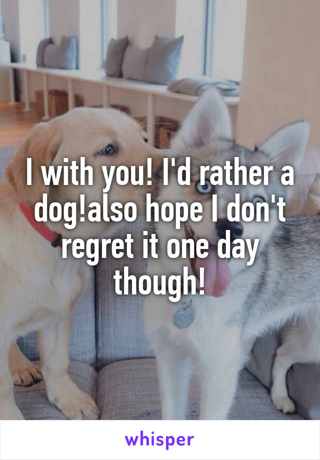 I with you! I'd rather a dog!also hope I don't regret it one day though!