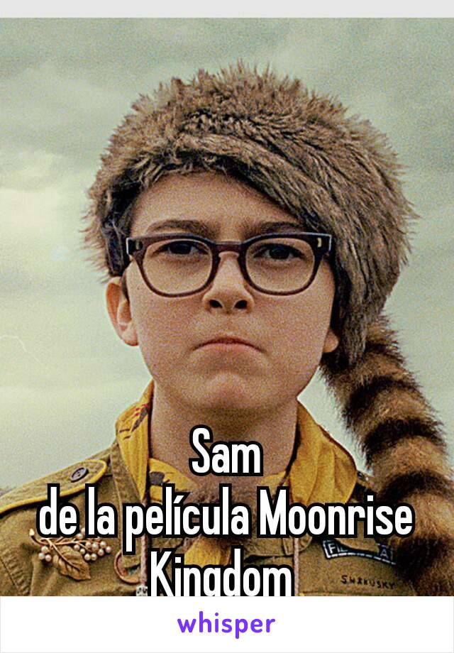 Sam
de la película Moonrise Kingdom 