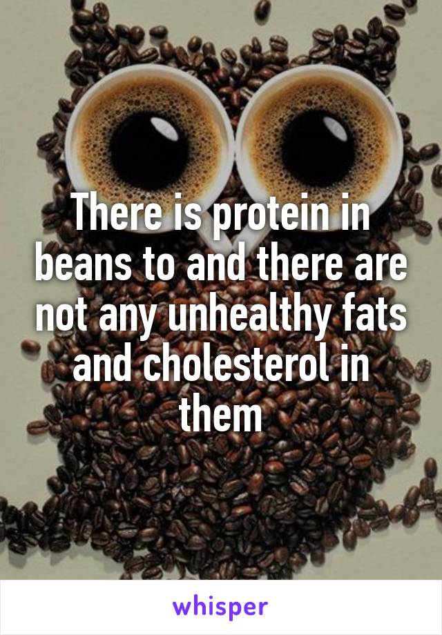 There is protein in beans to and there are not any unhealthy fats and cholesterol in them