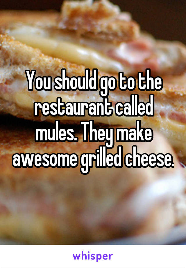 You should go to the restaurant called mules. They make awesome grilled cheese. 