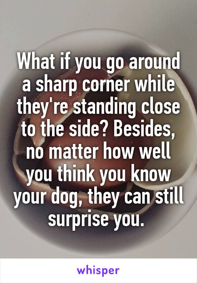 What if you go around a sharp corner while they're standing close to the side? Besides, no matter how well you think you know your dog, they can still surprise you. 