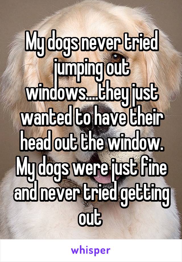 My dogs never tried jumping out windows....they just wanted to have their head out the window. My dogs were just fine and never tried getting out 