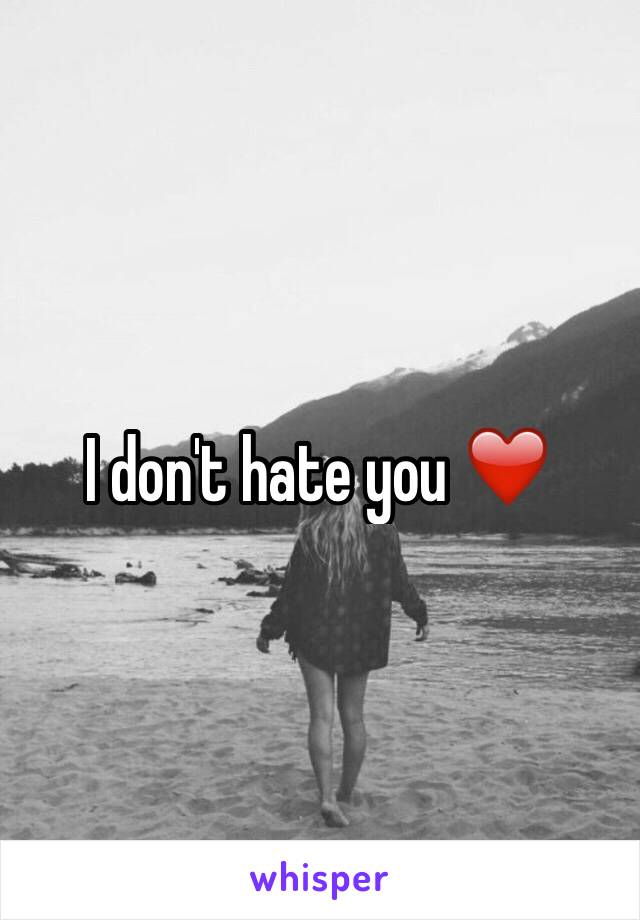 I don't hate you ❤️