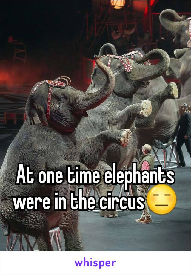 At one time elephants were in the circus😑