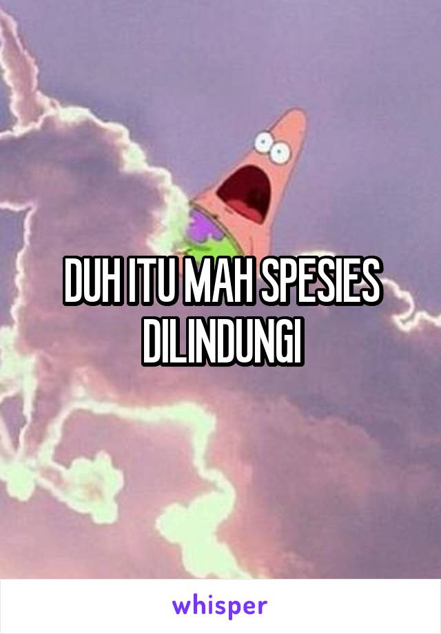 DUH ITU MAH SPESIES DILINDUNGI