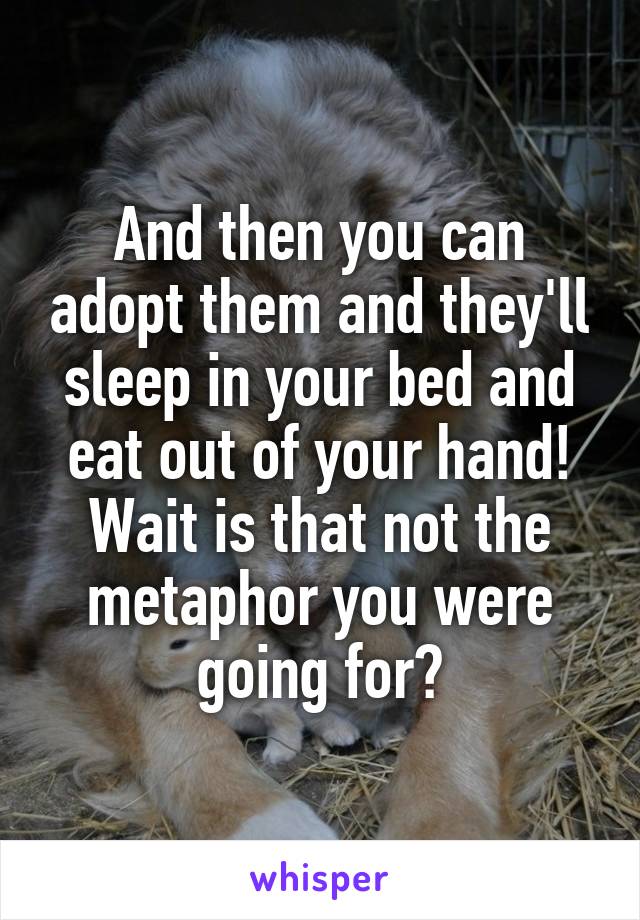 And then you can adopt them and they'll sleep in your bed and eat out of your hand! Wait is that not the metaphor you were going for?