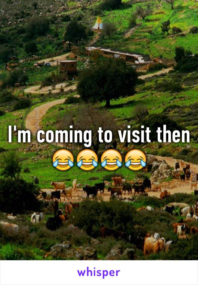 I'm coming to visit then 😂😂😂😂