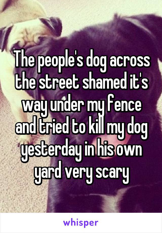 The people's dog across the street shamed it's way under my fence and tried to kill my dog yesterday in his own yard very scary