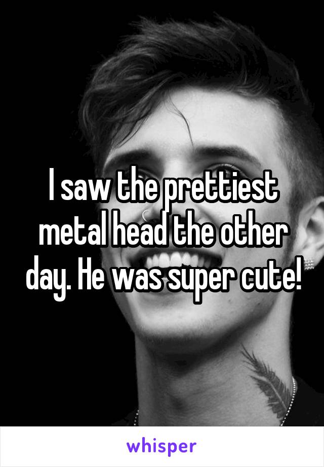 I saw the prettiest metal head the other day. He was super cute!