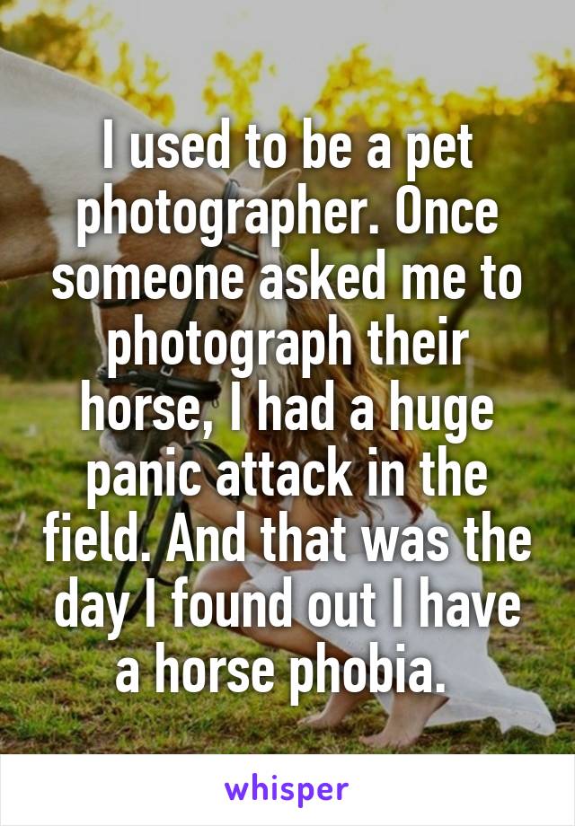 I used to be a pet photographer. Once someone asked me to photograph their horse, I had a huge panic attack in the field. And that was the day I found out I have a horse phobia. 