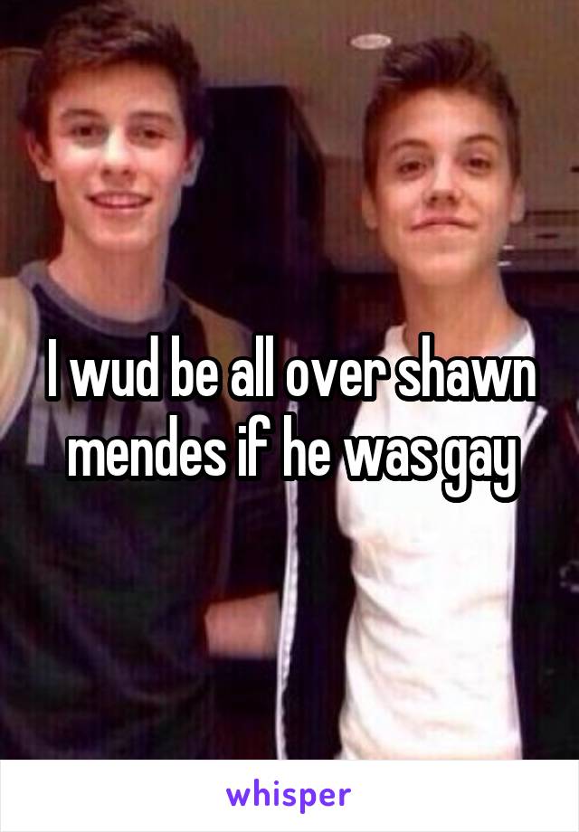 I wud be all over shawn mendes if he was gay