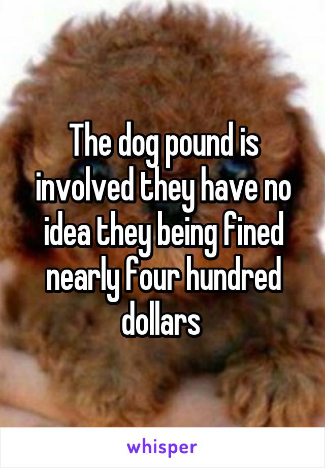 The dog pound is involved they have no idea they being fined nearly four hundred dollars 