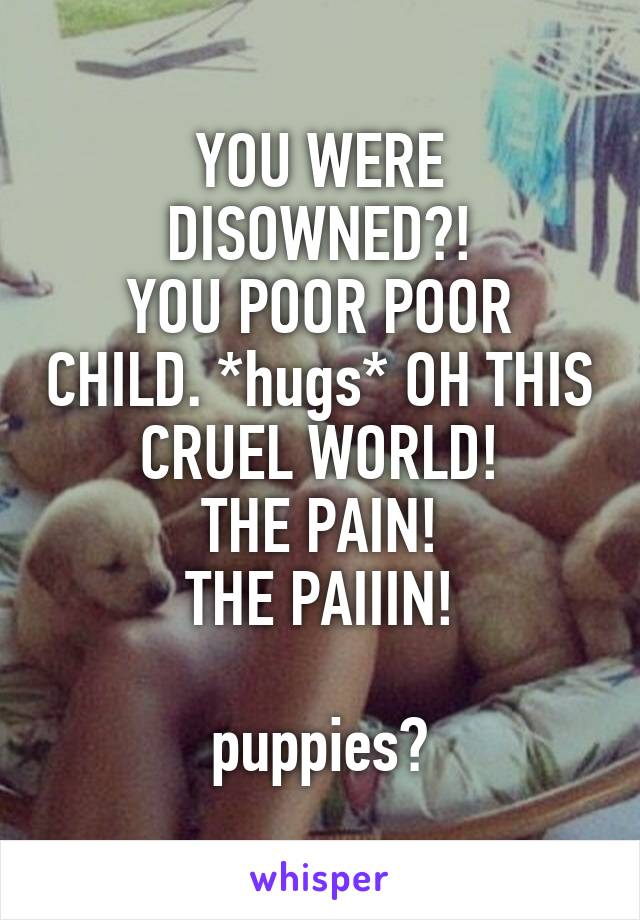 YOU WERE DISOWNED?!
YOU POOR POOR CHILD. *hugs* OH THIS CRUEL WORLD!
THE PAIN!
THE PAIIIN!

puppies?