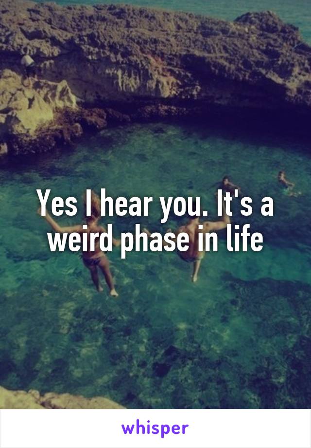 Yes I hear you. It's a weird phase in life