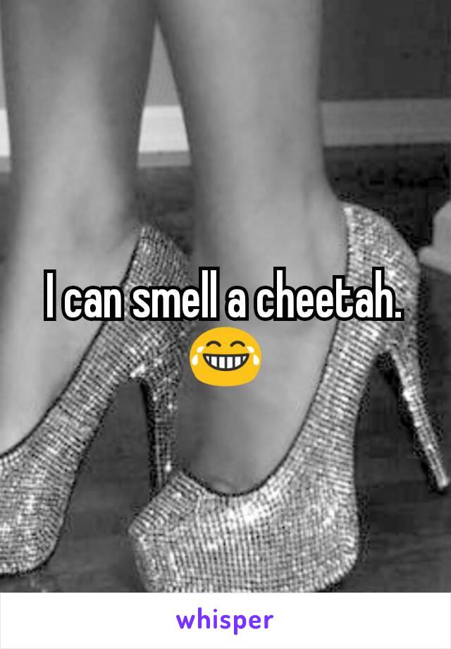 I can smell a cheetah.
😂