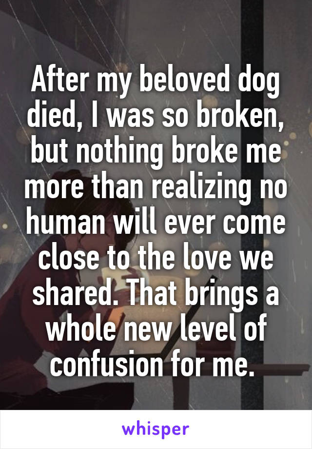 After my beloved dog died, I was so broken, but nothing broke me more than realizing no human will ever come close to the love we shared. That brings a whole new level of confusion for me. 